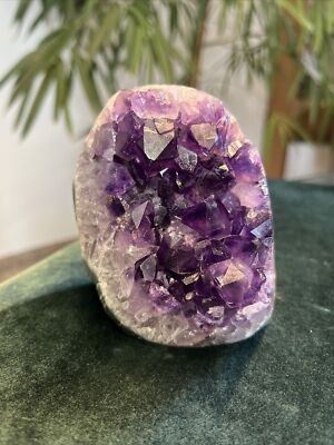 Hochqualitative Amethyst Druse AP 362 0,55 kg