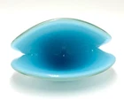 Vtg Murano Italy Art Glass Blue Clam Shell Archimede Seguso Paperweight Dual