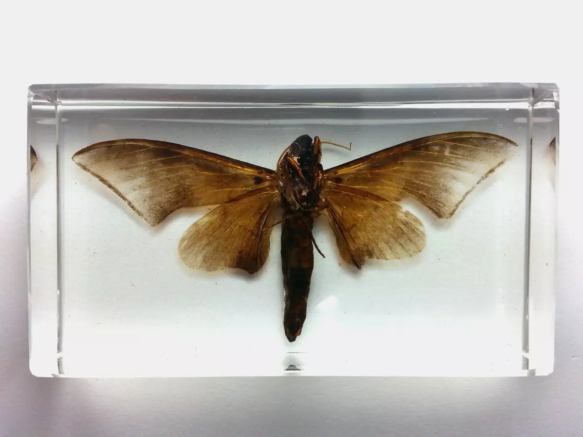 Resin encapsulation online