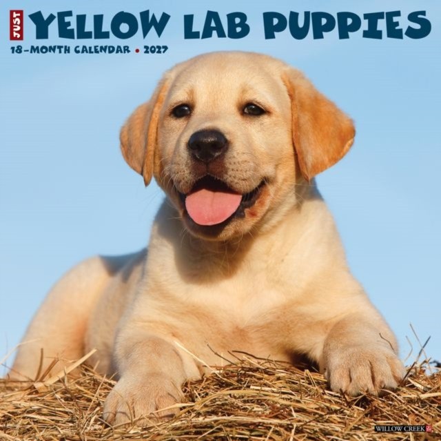 Yellow Lab Puppies 2027 Wall - Image 2