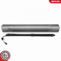 Esen SKV Elektromotor Heckklappe 52SKV227 FüR Nissan Pathfinder 3 R51 VAN Dci