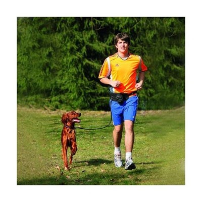 Doggy-Joggy Joggingleine für Hunde bequem und praktisch