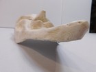 Bild 9 von 24