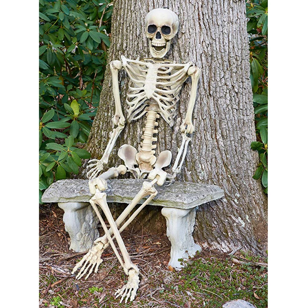 165cm Giant Poseable Skeleton Full Size Human Skull Skeletons