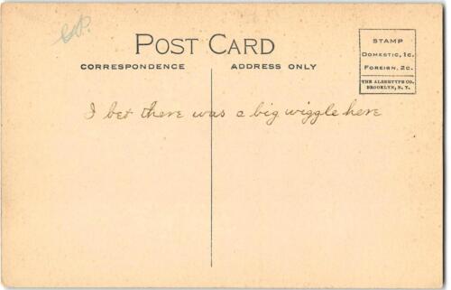 Postal de colección "Night's Salmon Catch" Oregon City, OR Fishing 1910s Albertype - Imagen 2 de 2