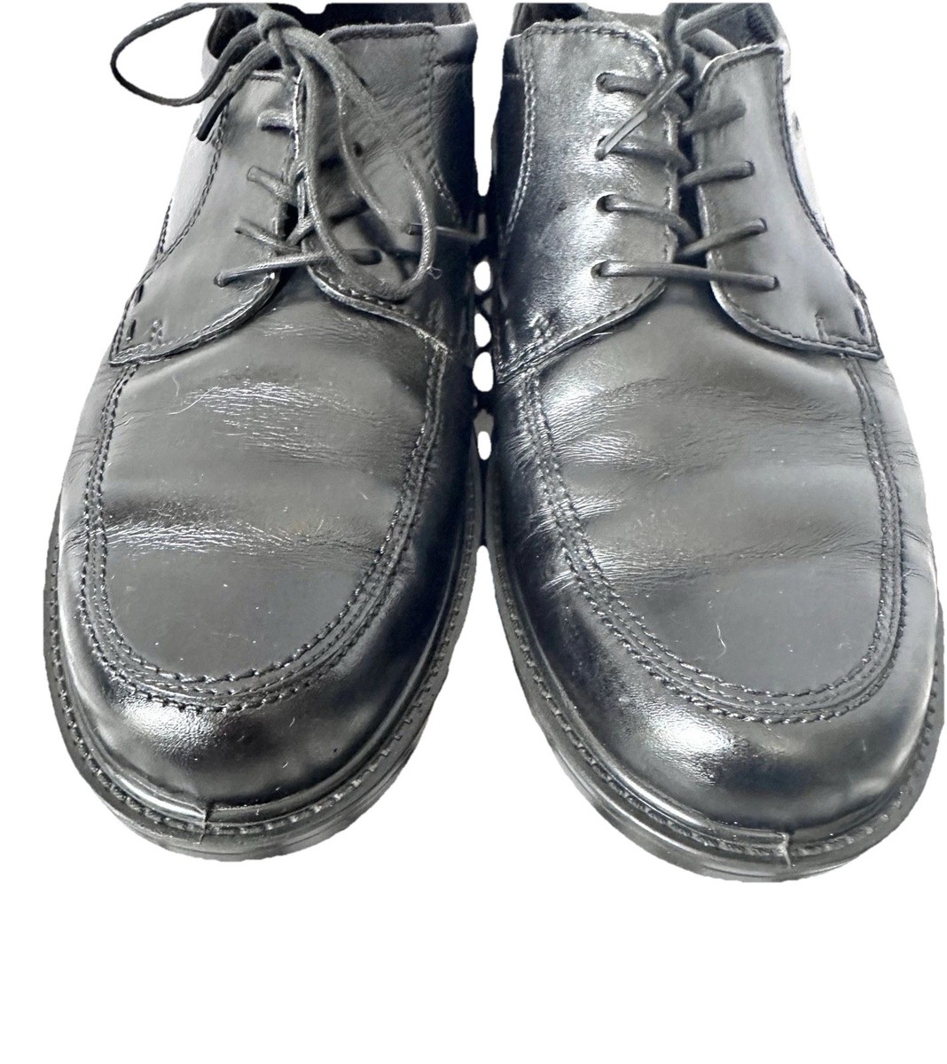 Ecco black  display picture 2