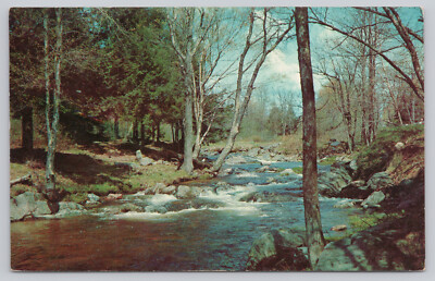 Tranquil River Scene in the Forest, Vintage Postcard