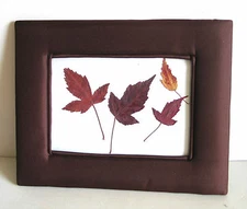 Pressed Dried Autumn Leaves Botanical 7.75x10" Fabric Padded Frame FREE SH