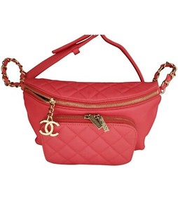 silver bag