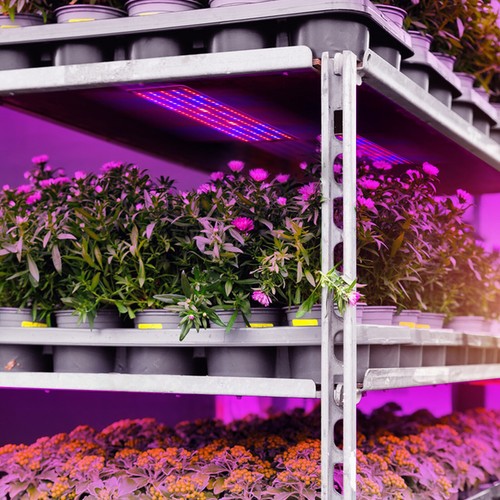 Full Spectrum Plant Growth Board Supplement for Seedlings C8B4 - Picture 6 of 12