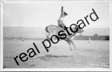 RPPC Ukiah California Rodeo Cowboy Bucking Bull Detrick's Studio