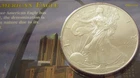 1996 1 oz Silver American Eagle Sealed, Uncirculated, Littleton coin co.