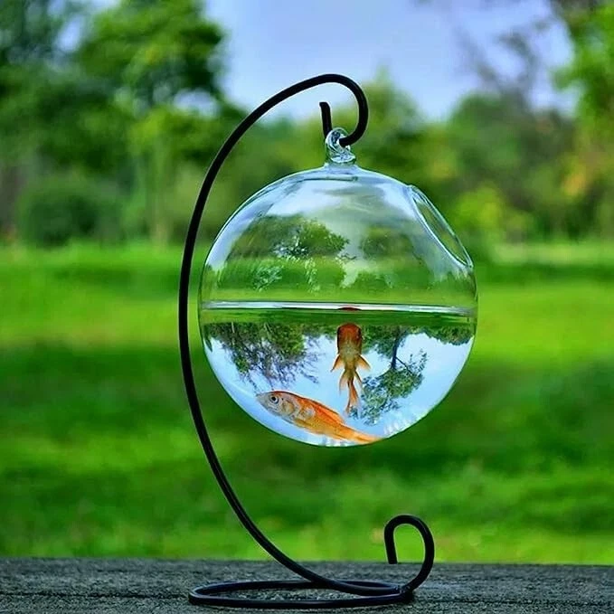 Black Hanging Fish Bowl Tank With Stand Fish Small Table Glass Fish Bowl  Vase