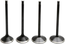 Kibblewhite Black Diamond Valve Kits for 05-17 Harley Davidson Twin Cam 20-23100