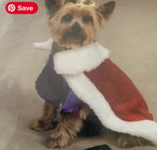 Royal Pup Dog Costume – Medium | Cape, Crown, & Scepter Toy | Halloween Costume