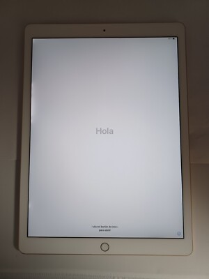Apple iPad Pro 12.9 (2nd Gen.) 256GB Gold -minor LCD Bright