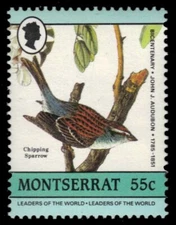 MONTSERRAT 582a (SG661) - J.J. Audubon "Chipping Sparrow" (pf57714)