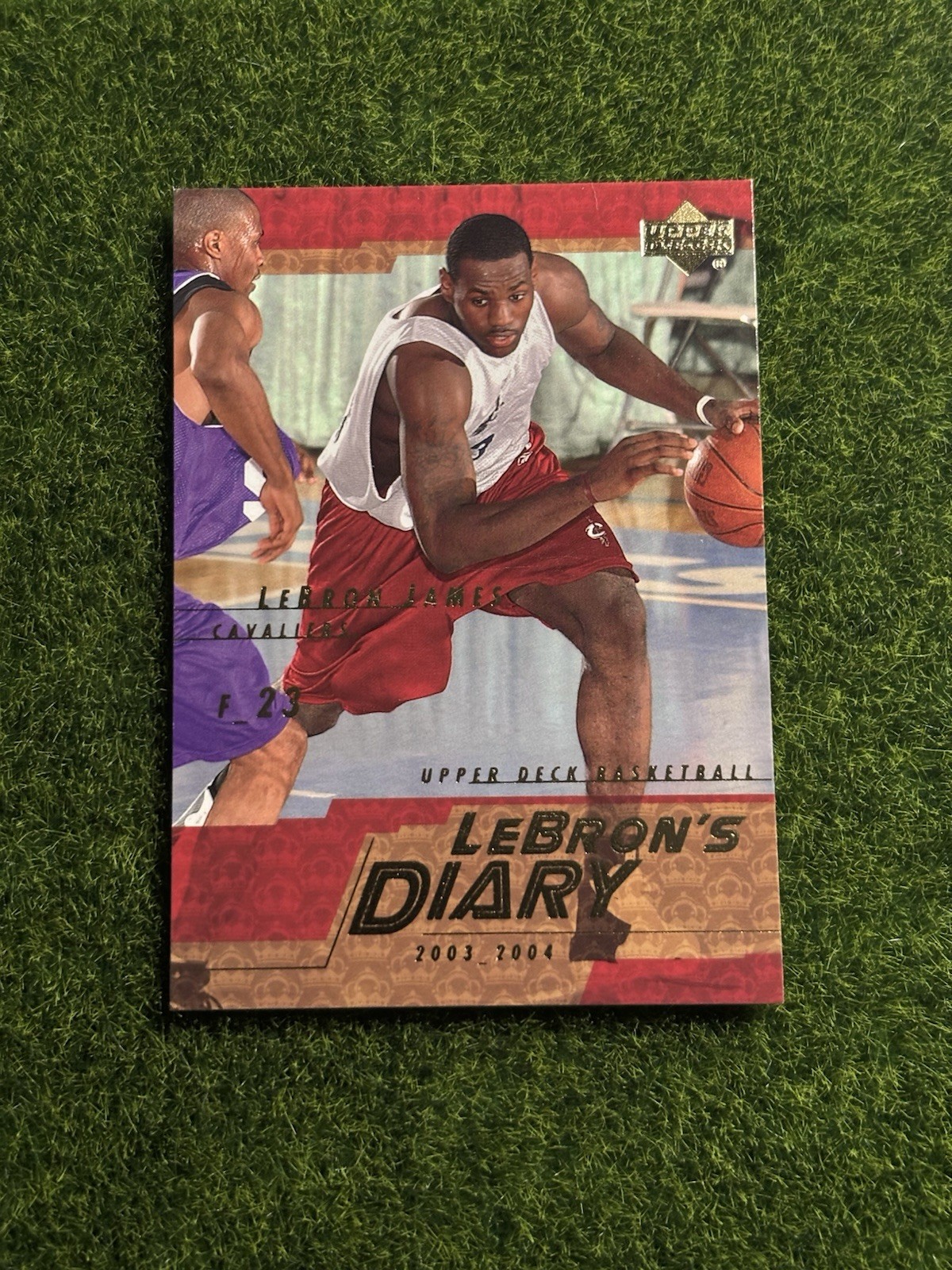 2003-04 Upper Deck LeBron James LeBron's Diary Rookie RC #LJ6 Cavaliers