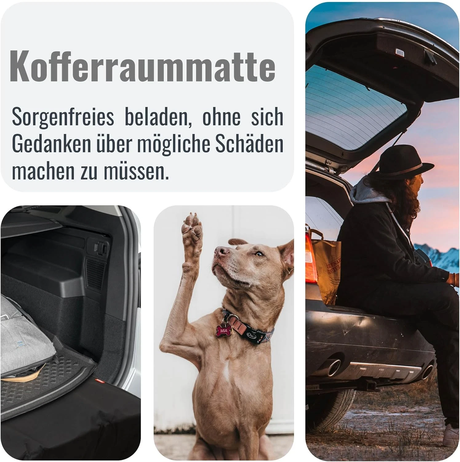 Bild 3 von 12