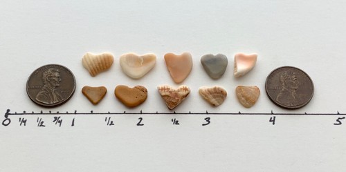 10 Fragmentos Naturales ❤️En Forma de Corazón Conchas de Mar Amor Guijarro Artesanía #S1B - Imagen 7 de 17