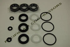 33629 BE CAT PUMPS SEAL KIT FOR 5CP3120 / 5CP3120G1