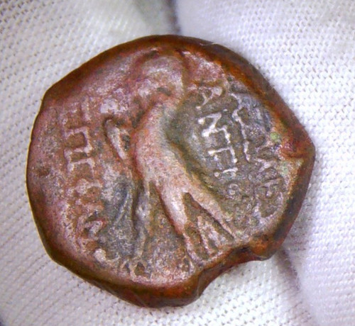 Ancient Greek Coin Seleucid Antiochus VIII Grypos 121 BC AE Bronze Eagle