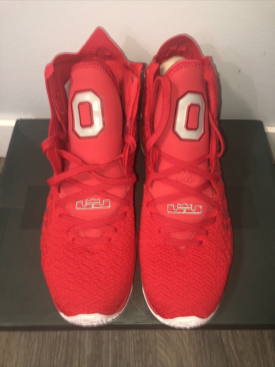 Nike LeBron XVII Ohio State PE DS Size 10.5 OSU | eBay