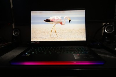 MSI GE76 Raider Gaming Laptop i7 11800h RTX 3070m