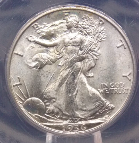 1936 "S" Walking Liberty Silver Half Dollar 50c ANACS MS63 #555 Unc BU ECC&C Inc