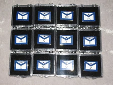 Set of 12 Masonic Officers Apron Tac Pins Case Fraternity Freemason NEW!