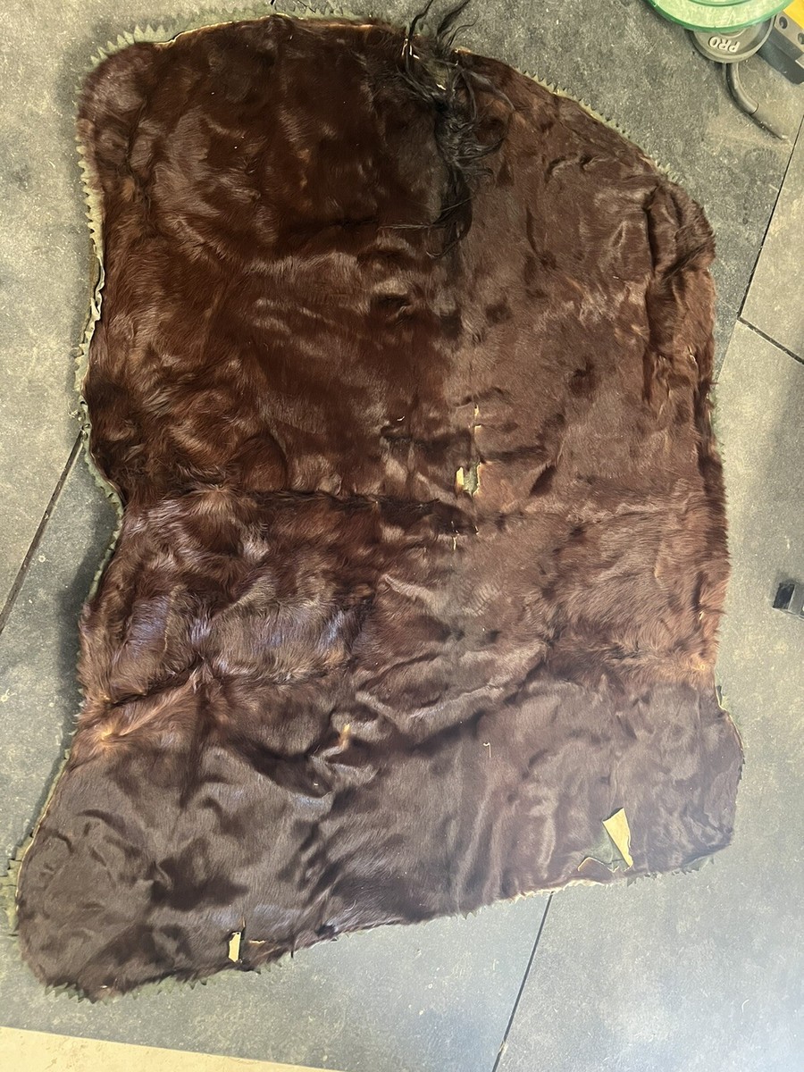 Antique Horse Hair Carriage Blanket Horse Hide, Buggy Lap Sleigh