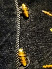 Picture 7 of 7