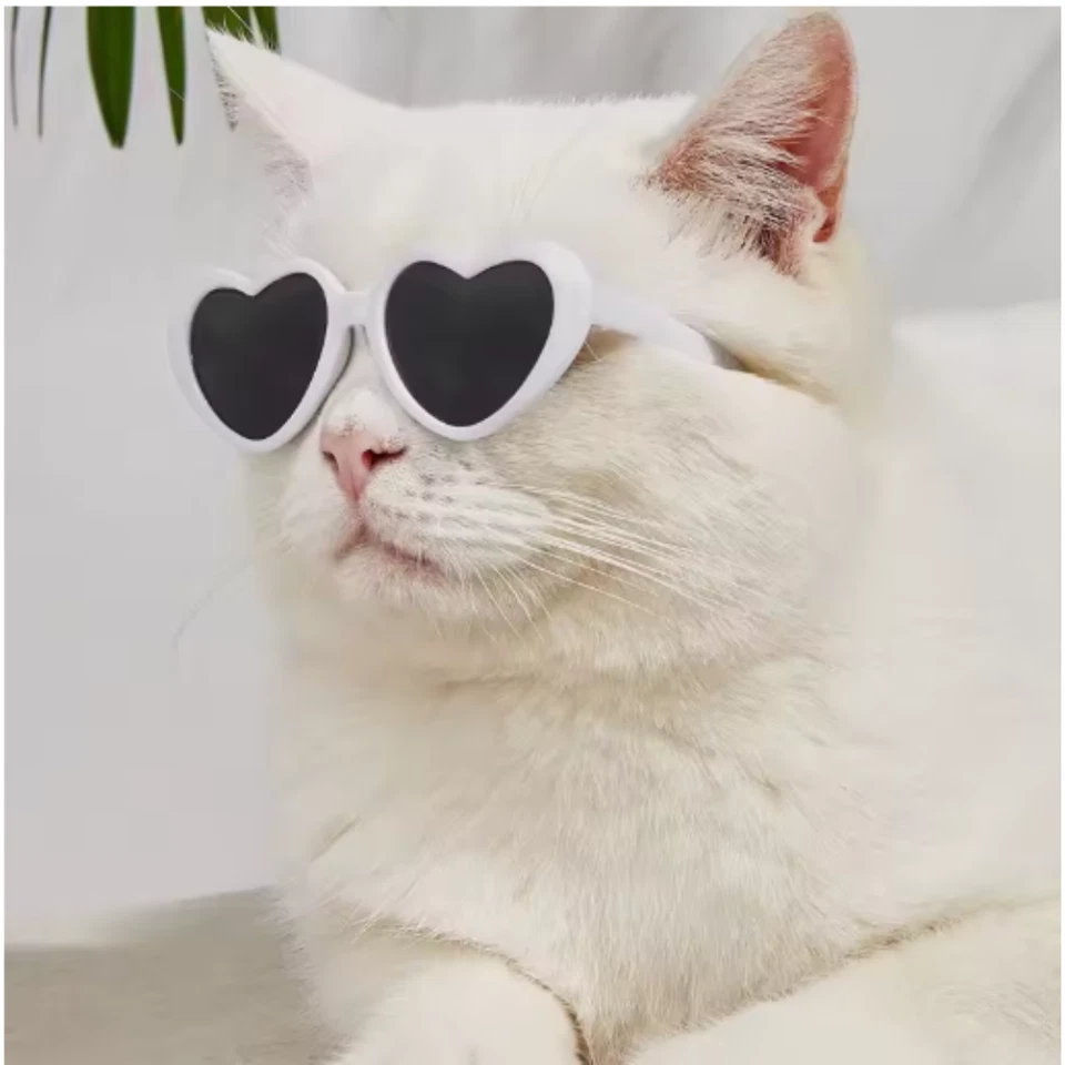 Gato Perro Gafas de sol en forma de corazón Suministros para mascotas Accesorios Gafas Gafas Gafas Foto 2 de 4