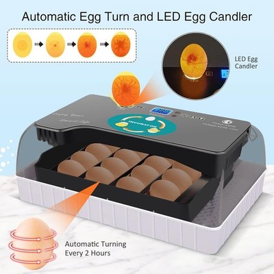 12 Eggs Incubator Automatic Egg Turning Chicken Quail Chick Hatcher Incubators