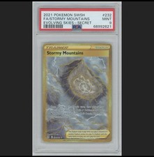 Stormy Mountains (Secret) 232/203 SWSH07: Evolving Skies Holo Psa 9