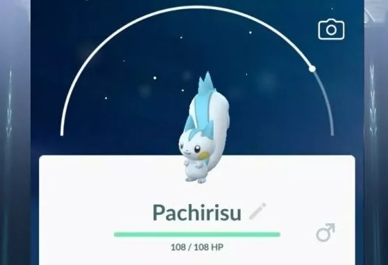 Pachirisu Pokemon Go Location and Map - Full Guide