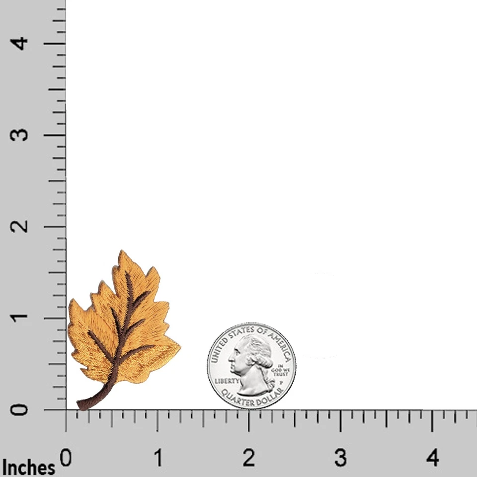 Parches de hojas de otoño (paquete de 5) apliques de parche bordados de hierro de Halloween  Foto 2 de 4