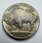 1936-P Buffalo Nickel Full Horn Toned Beauty