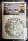 2015 American Silver Eagle S$1 - First Releases MS 70 - NGC #206