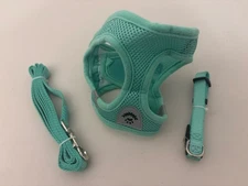 PUPTECK Soft Thick Mesh XS PADDED DOG HARNESS & LEASH Mint Green NEW
