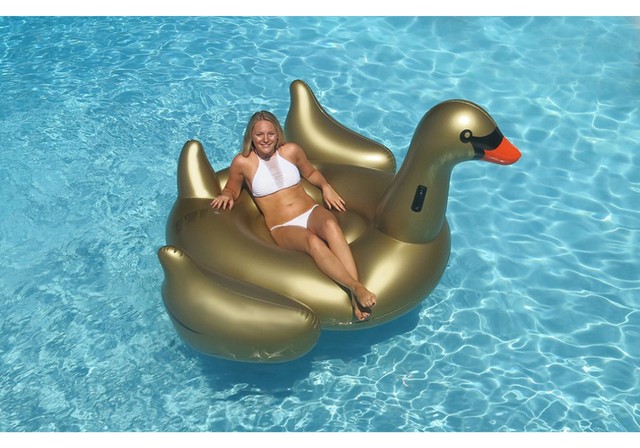 swimline swan
