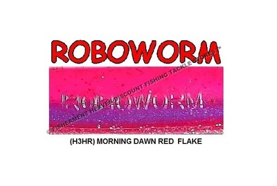 Roboworm Straight Tail Worm Bait - 7 Inch, Pumpkin Punisher Color, Finesse Bass Fishing Lure - View #10