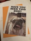 Happy Birthday Dog  greeting card — photo 1