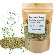 Organic SHEPHERDS PURSE Herb Cut Wild Harvest Capsella Bursa-Pastoris Herbal Tea