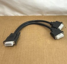 Tripp Lite DMS-59 to Dual DVI-I Cable P576-001 New
