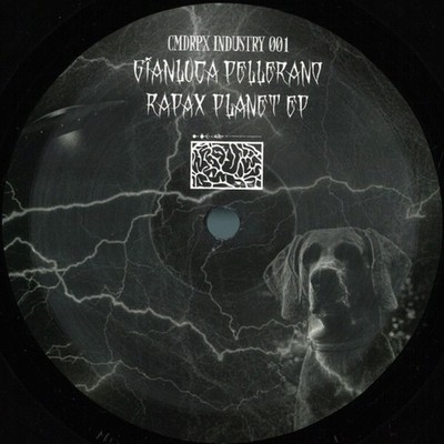 Gianluca Pellerano - Rapax Planet EP - Vinyl - Techno, Electro