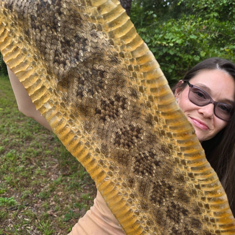 Rattlesnake skin hide pelt Leather Hide Eastern Diamond Back Costume Crafts - Image 3 of 4