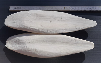 2 Sepiaschalen XXL, ca. 25 - 30 cm (ca. 150 Gramm) / 1A TOP Qualität / Kalzium