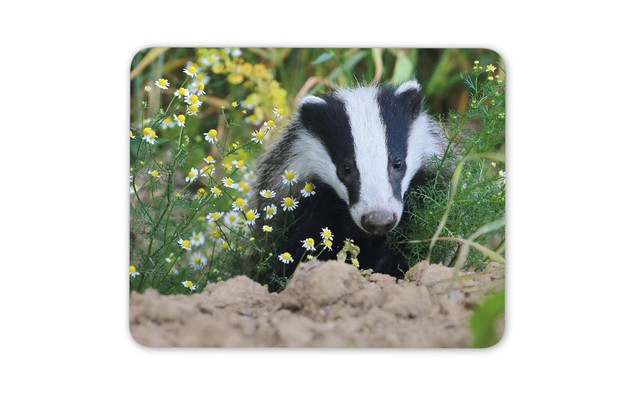 Forest Tree/'s Office Fun Gift Computer #14078 Fantasy Tree House Mouse Mat Pad