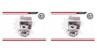 Esen SKV 2X Radnabe Radlagersatz Hinterachse FüR Nissan Pathfinder III R51